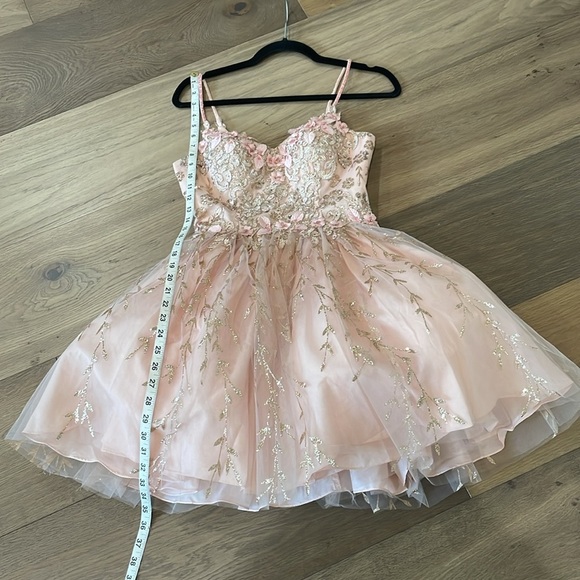 Dancing Queen Blush Pink Gold Embroidered Tulle Floral Mini Dress Size XS - Picture 15 of 16
